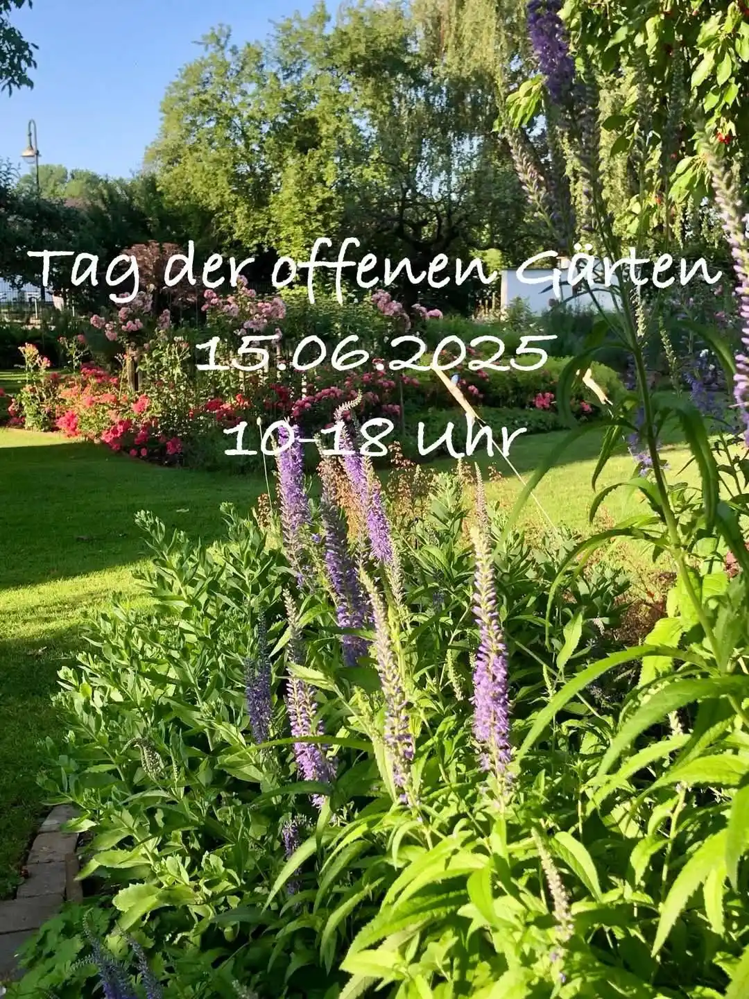 Veranstaltungsinformationen von Lachen-Speyerdorf post