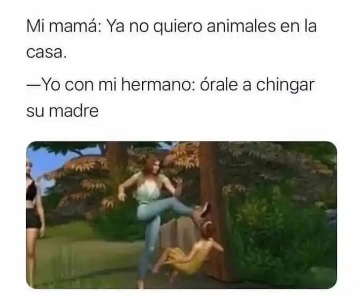 Memes Post-Urbano 🦧🕷️ post