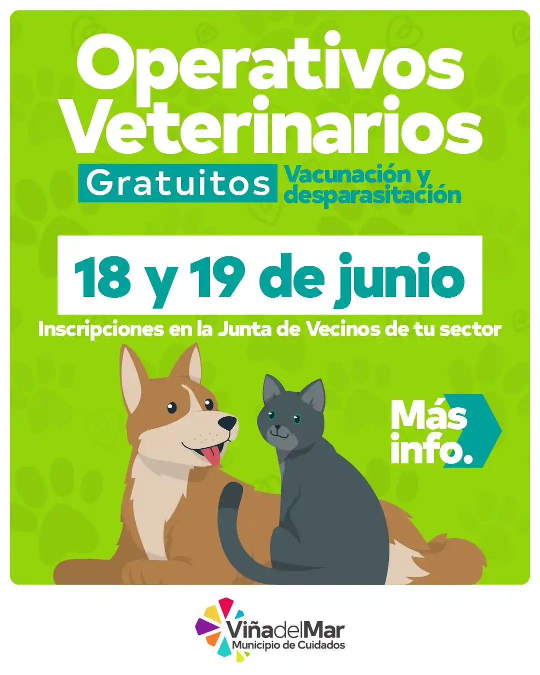 Image from MuniViña 📢 Informa: ¡Atención! 🐾 Nuevos operativos de vacunación, desparasitación e insta...
