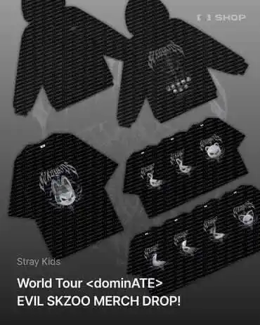 Image from ✨STAYLÂNDIA✨: 📷 | Atualização do FANS SHOP no X   Stray Kids  Aviso oficial de prod...