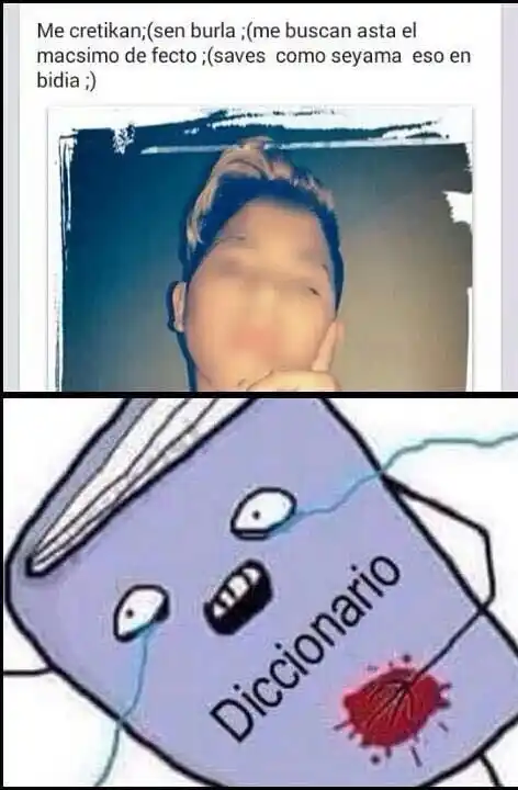 Memes Post-Urbano 🦧🕷️ post