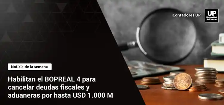 Contador Público UP post