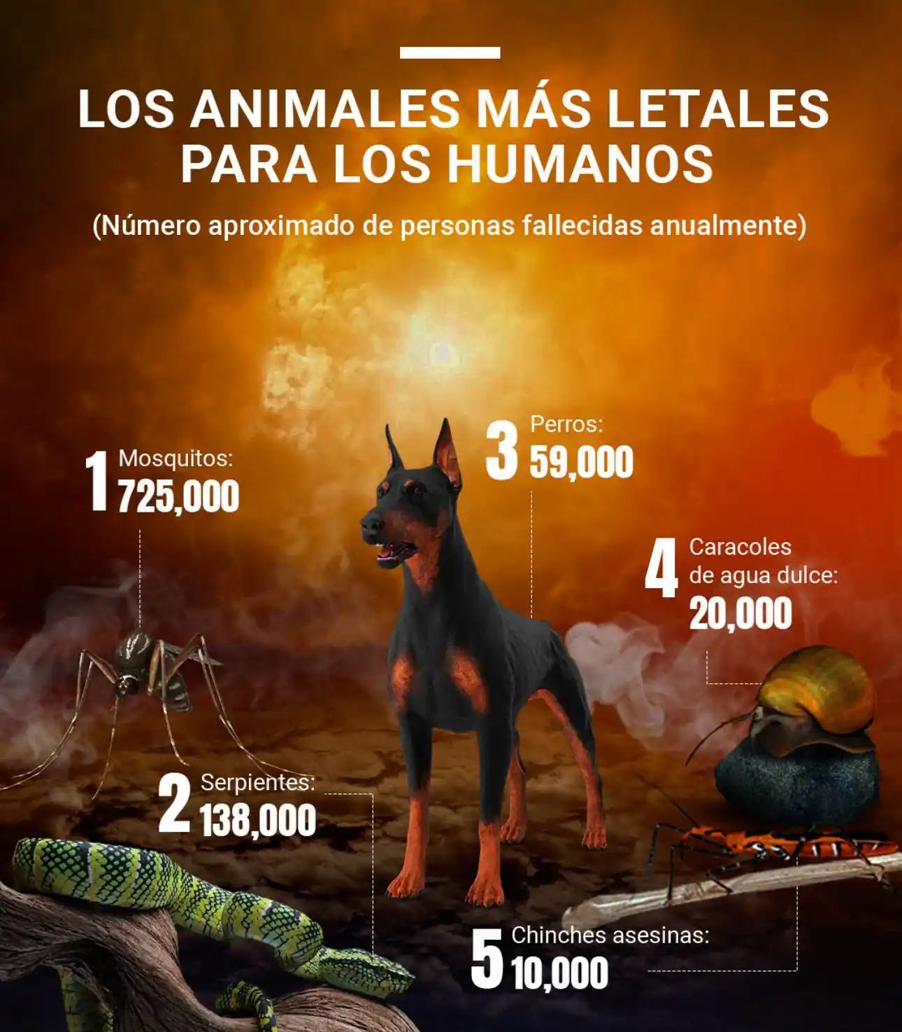 Image from EL AULLIDO de Fernando López Mirones: El mamífero que más seres humanos MATA al año en todo el mundo es el P...