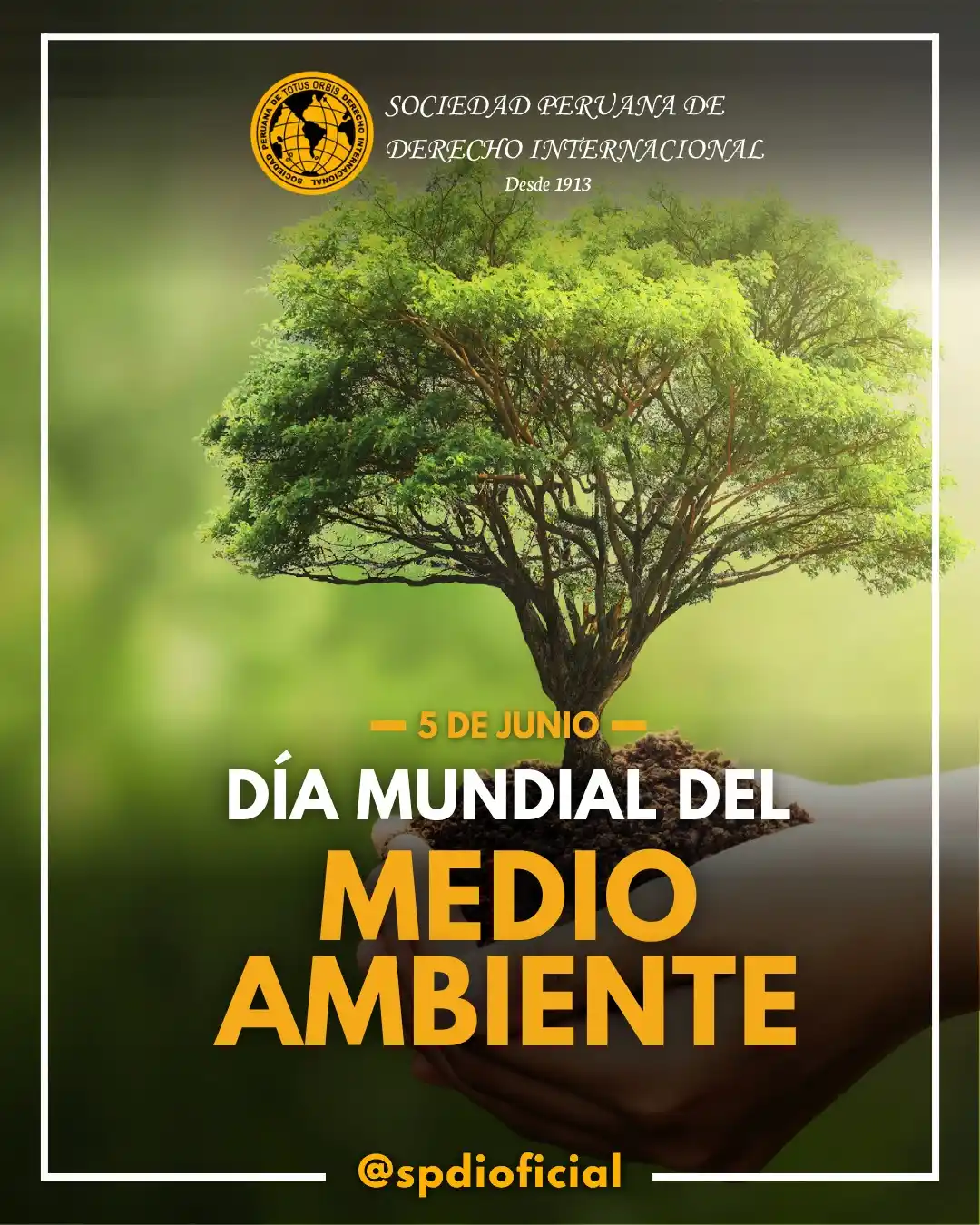 Image from Sociedad Peruana de Derecho Internacional: 🌎 En el Día Mundial del Medio Ambiente, establecida mediante la Resol...