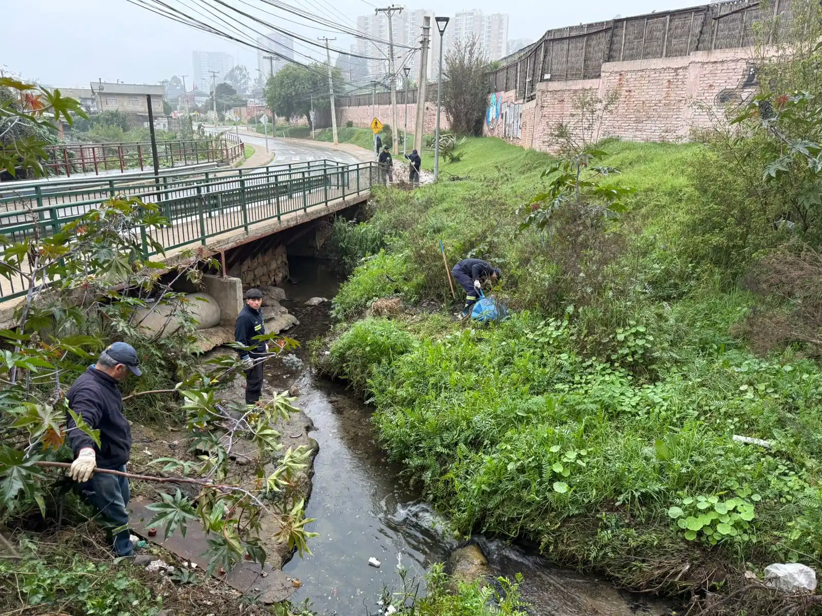 Image from MuniViña 📢 Informa: 🌿 En Viña del Mar trabajamos todos los días por el cuidado de nuestro...
