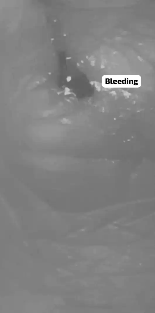 Xiwi's Daily Life post