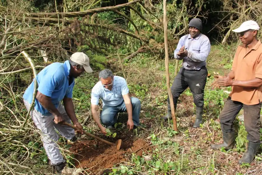 Image from LA VICEPRESS 🌐ℹ️: Guinea Ecuatorial avanza hacia un sistema agrícola resiliente con el r...