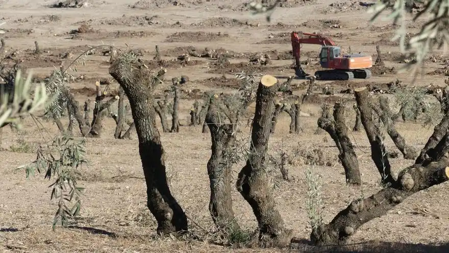 EL AULLIDO de Fernando López Mirones post