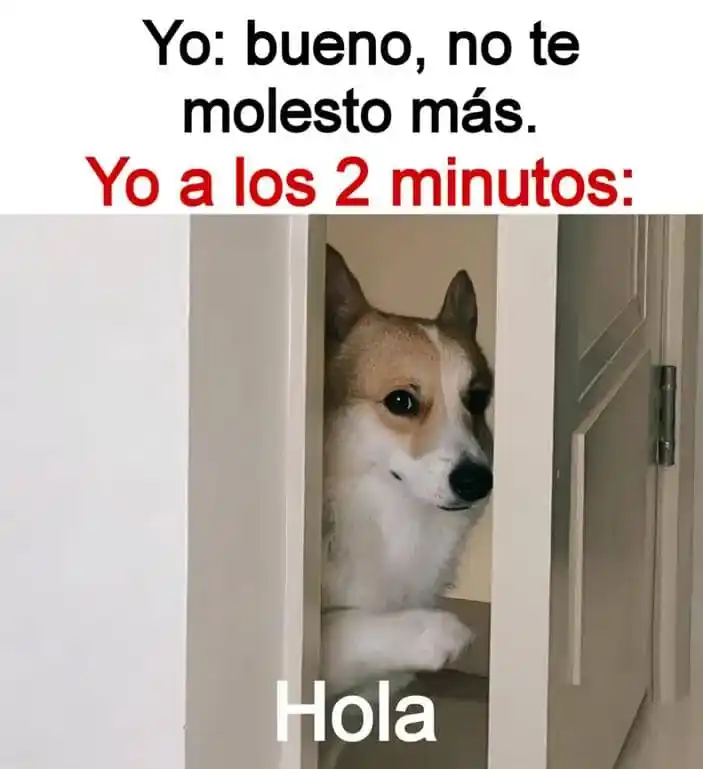 Memes Post-Urbano 🦧🕷️ post