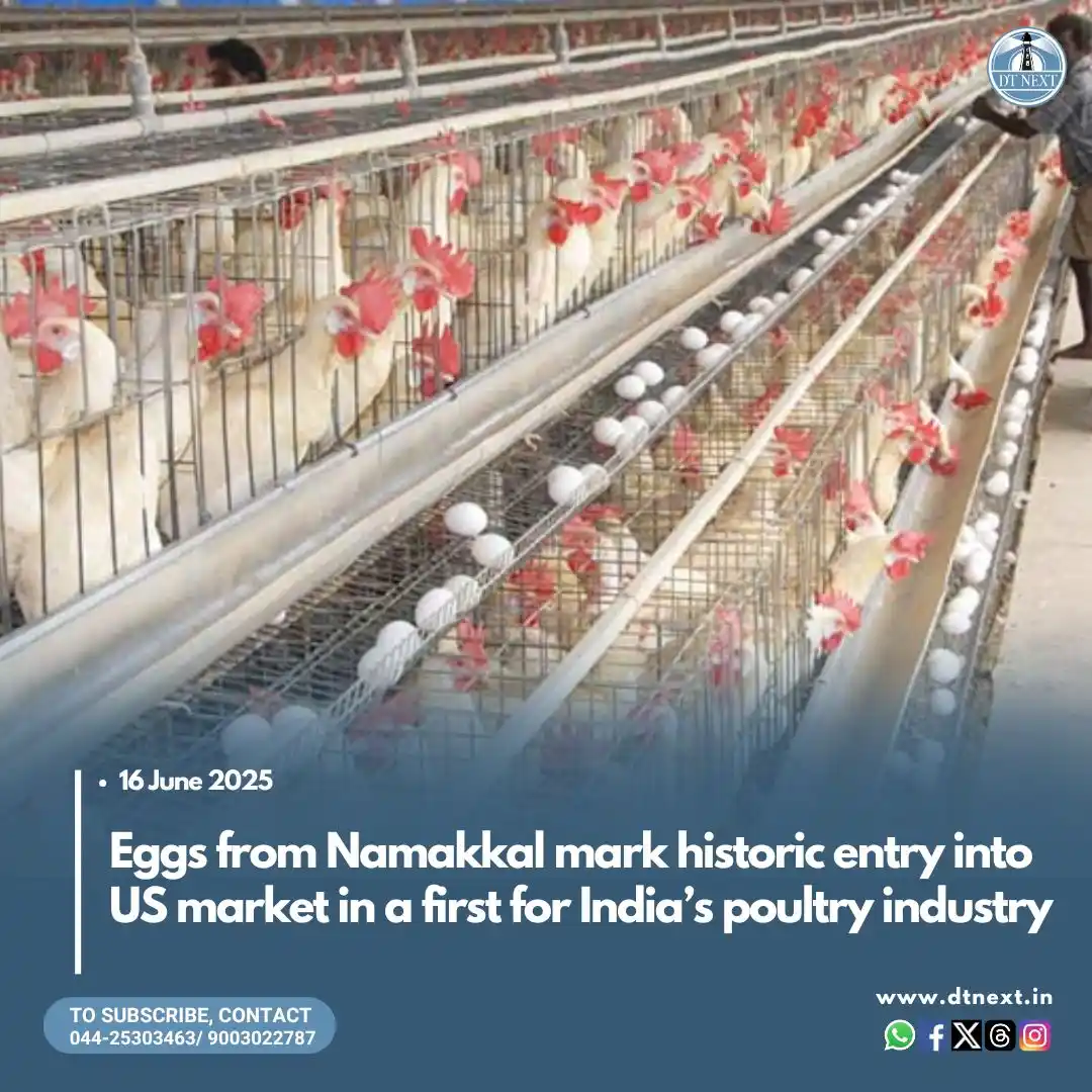 Image from DT NEXT: https://www.dtnext.in/news/tamilnadu/eggs-from-namakkal-mark-historic-...