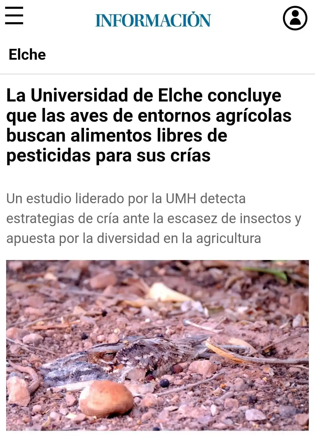 Image from Ríos Con Vida: https://www.informacion.es/elche/2025/06/18/umh-aves-agricolas-biodive...