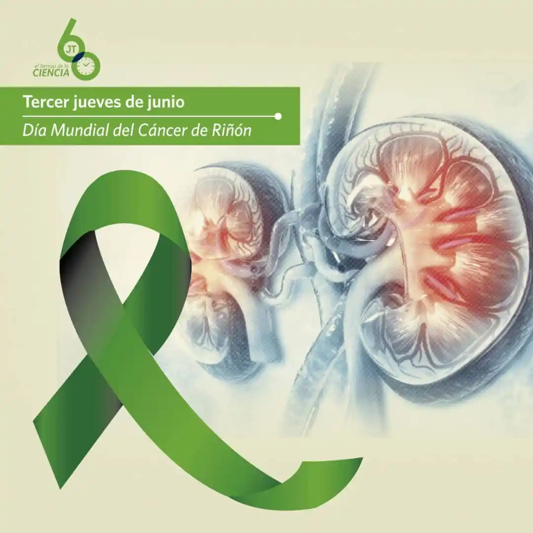Image from Juventud Técnica: <a class="text-blue-500 hover:underline cursor-pointer" href="/hashtag...