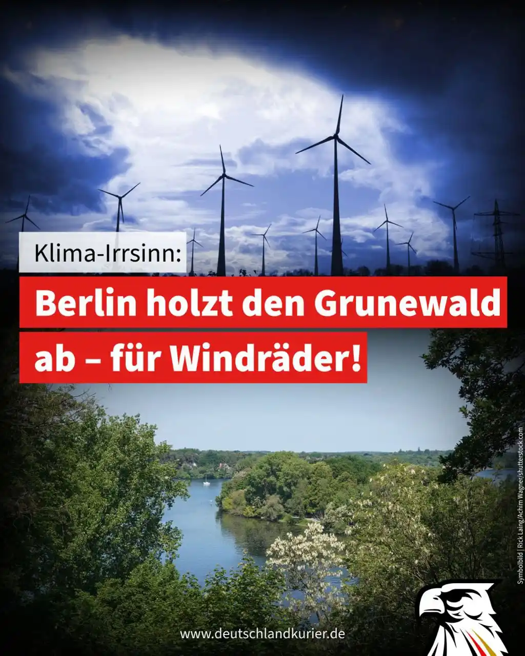 Image from Deutschland-Kurier: Klima-Irrsinn: Berlin holzt den Grunewald ab – für Windräder! Jetzt s...