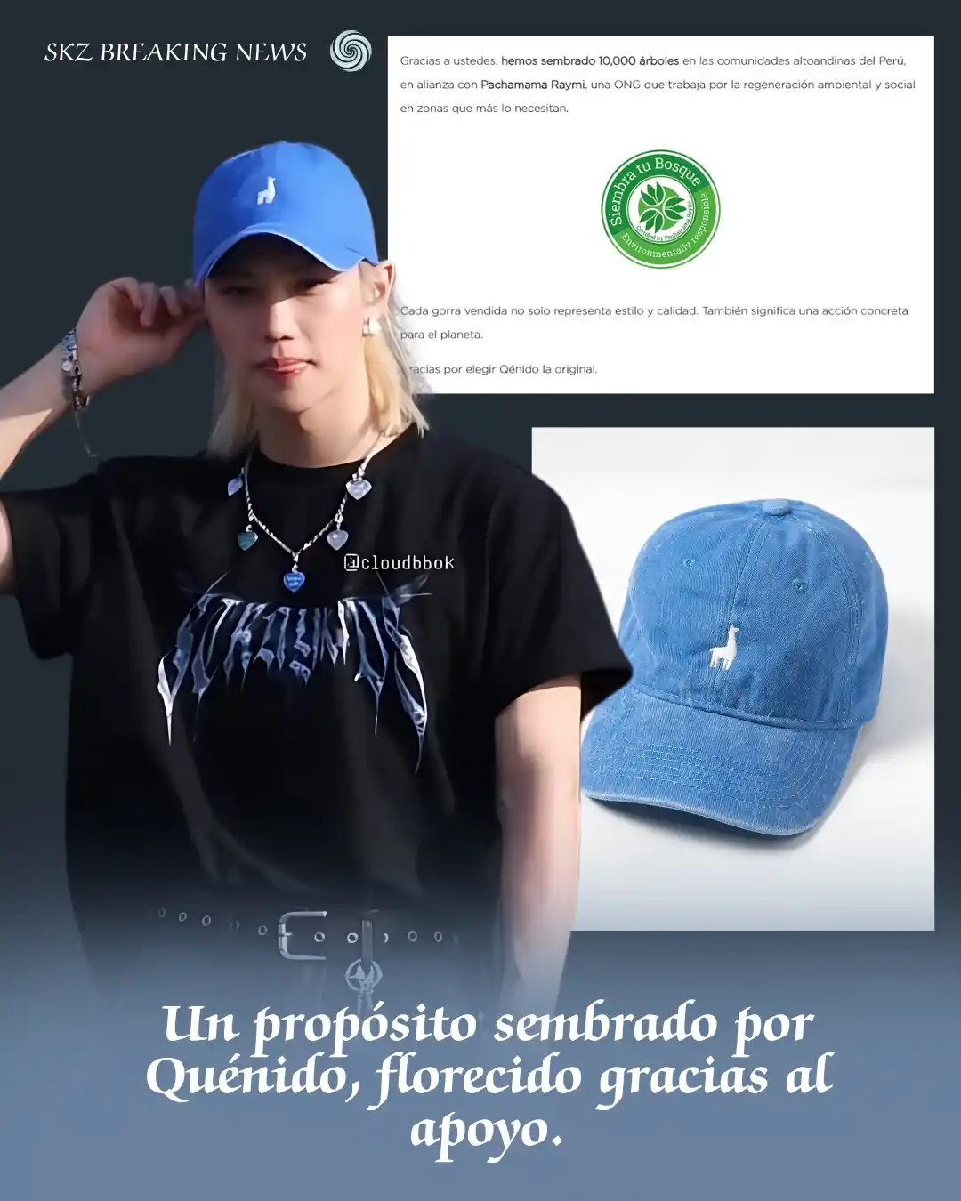 Image from STRAY KIDS - BREAKING NEWS ✨🌿: [📌| ꜱᴋᴢ ʙʀᴇᴀᴋɪɴɢ ɴᴇᴡꜱ]  *¿Recuerdan la gorra con el estampado de una ...