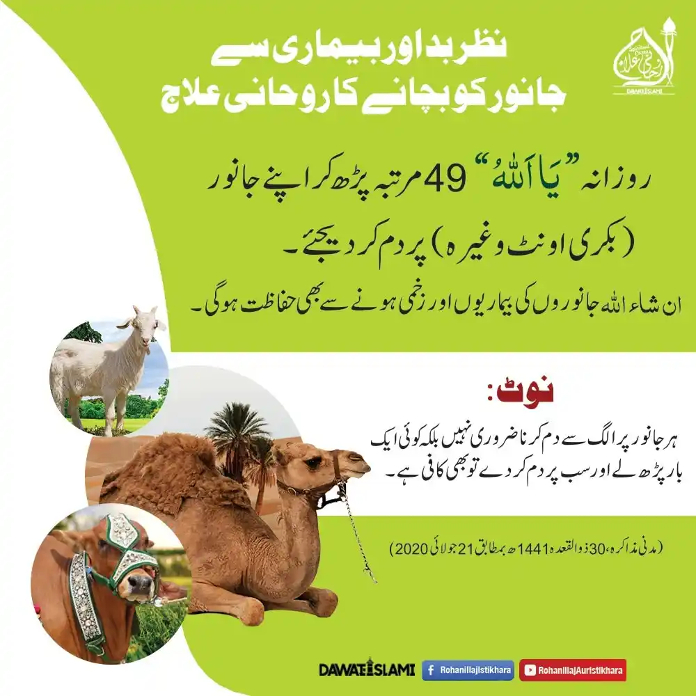 Image from Dawat-e-islami rohani ilaj: *NAZREBAD OR BEMARI SAY BACHANE  KA ROHANI ILAJ* Dawateislami Rohaniil...