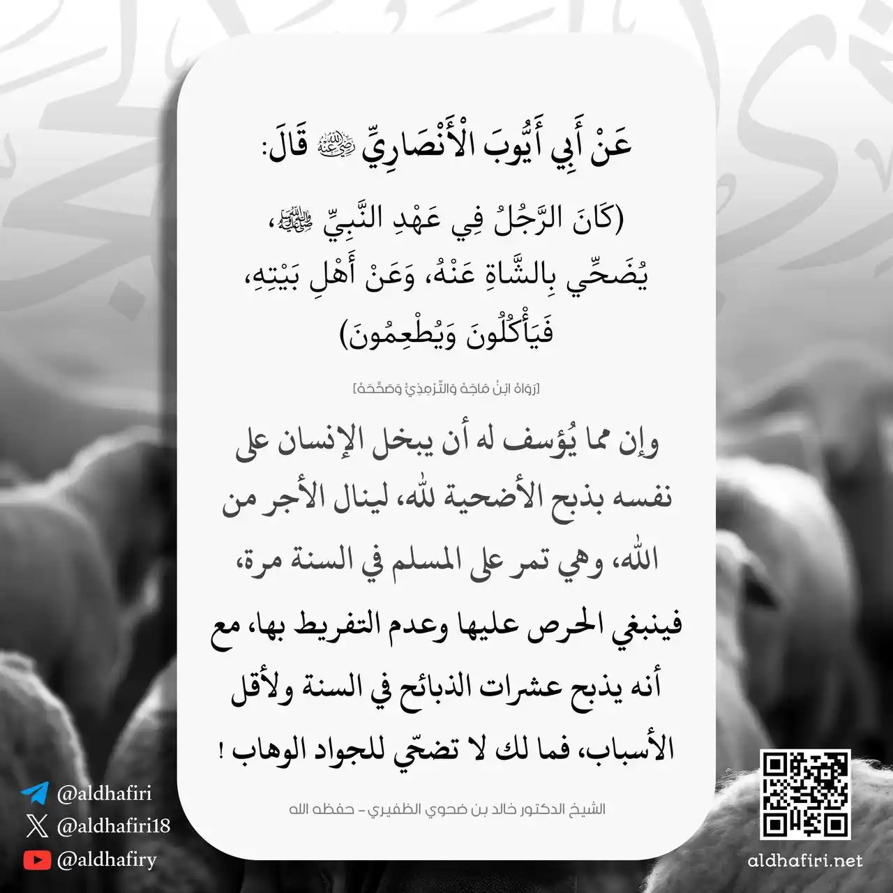 Image from SALAFY NGAPAK: ββπ βββββββ Β PITEDAH SALAF ββββββββπ β π AMPUN NGANTOS CUBLUK A...