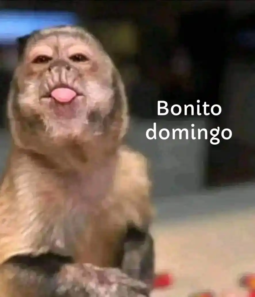 Conexión Migrante MX 🇲🇽 post