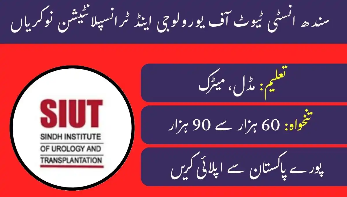 IBA Sukkur 5 To 15 Categery Prepration post