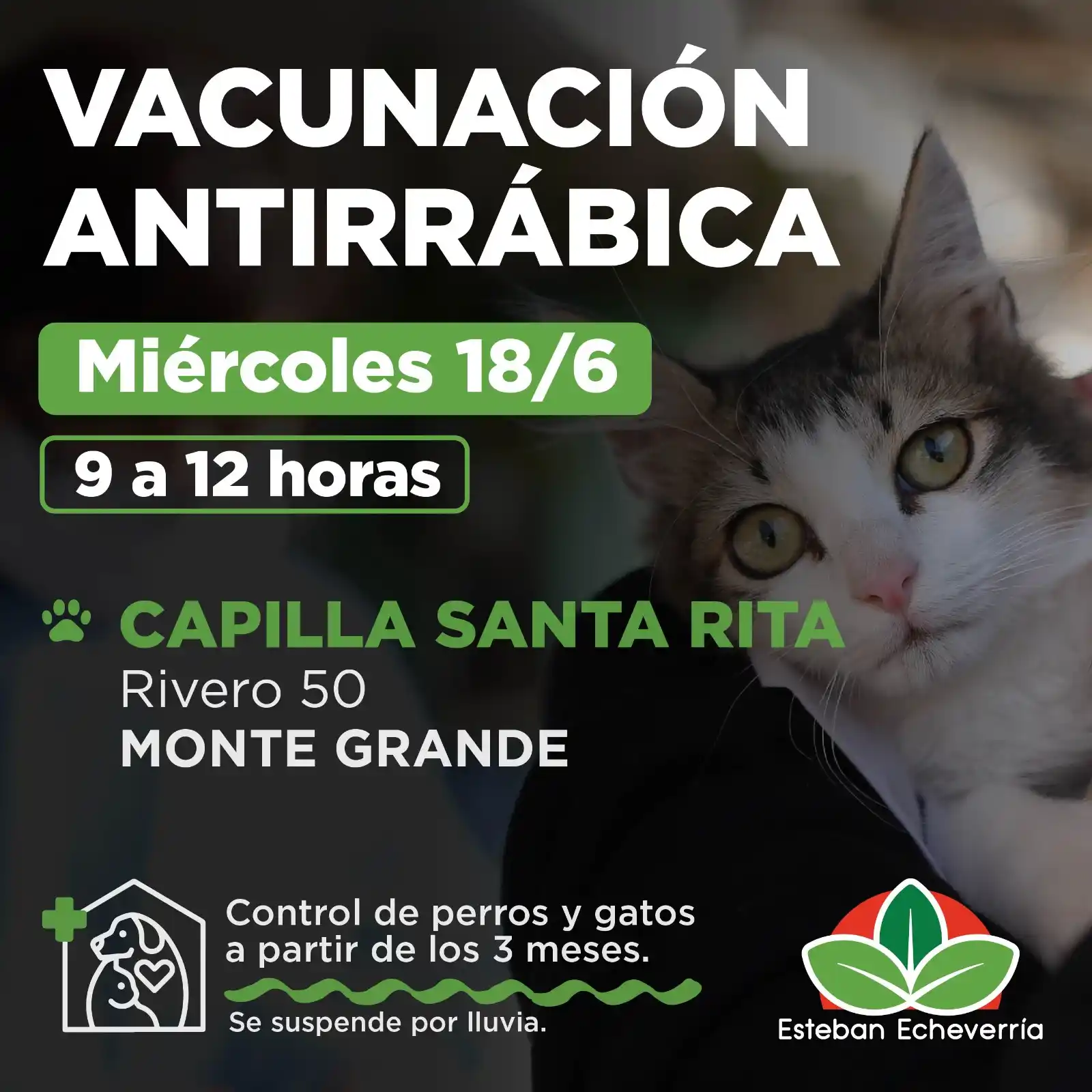 Image from Municipio Esteban Echeverría: ¿Tu mascota ya tiene la dosis antirrábica anual? Accedé a la vacunació...