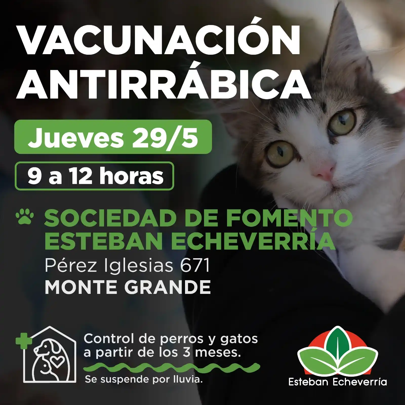 Image from Municipio Esteban Echeverría: ¿Ya le aplicaste la dosis anual? Aprovechá el operativo gratuito y cui...