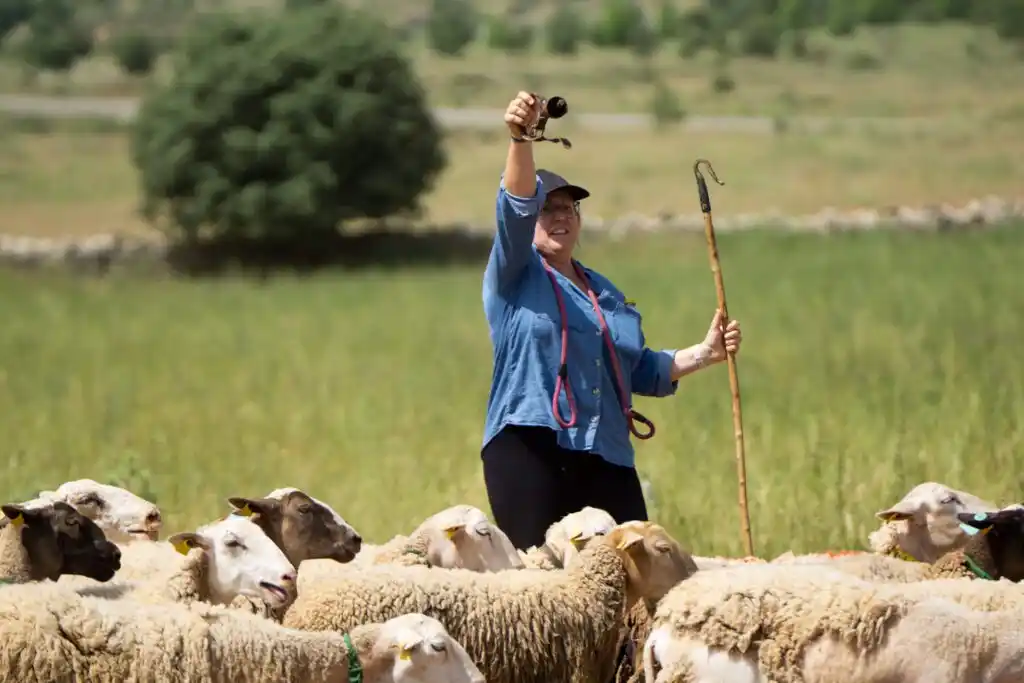 Image from DiaDia: 🐑 Ares del Maestrat reuneix l'elit del pasturatge en el XVIII Concurs...