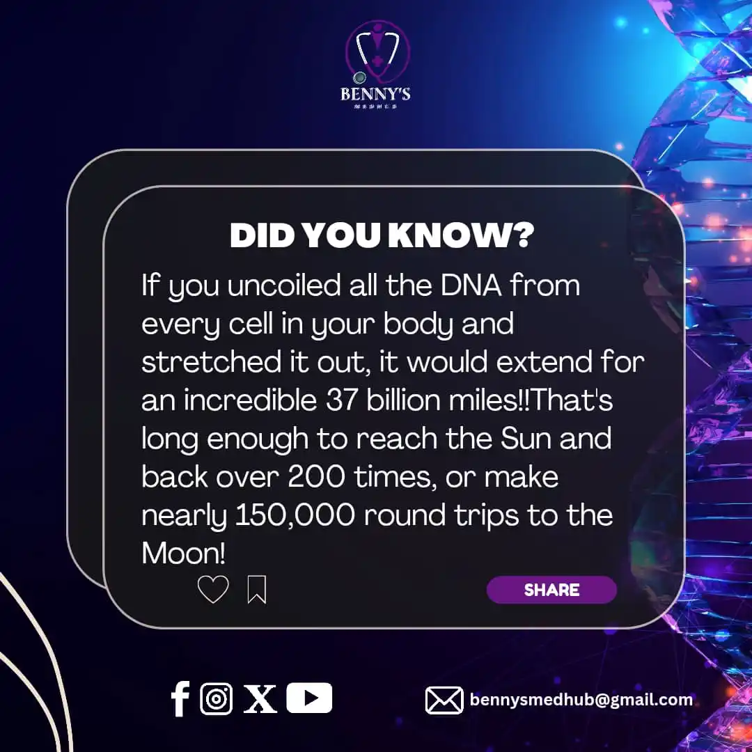 Image from Benny’s MedHub♥️🩺: *🧬DID YOU KNOW🧬* If you stretched out all the *DNA from just one o...