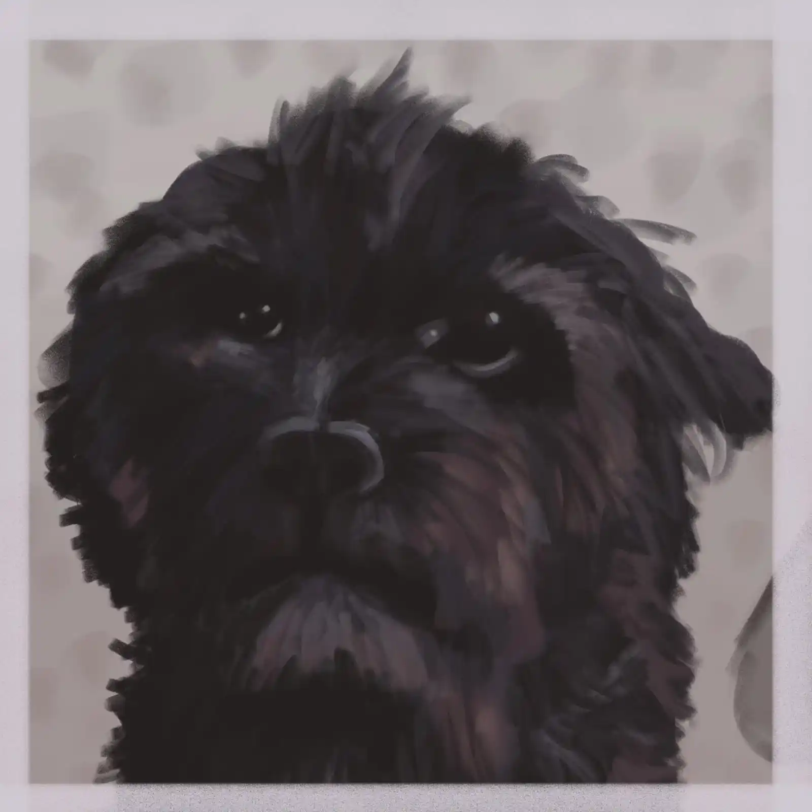 Image from 💥The z00rryturas💥: El perrito de una amiga snsjjs en dibujo...