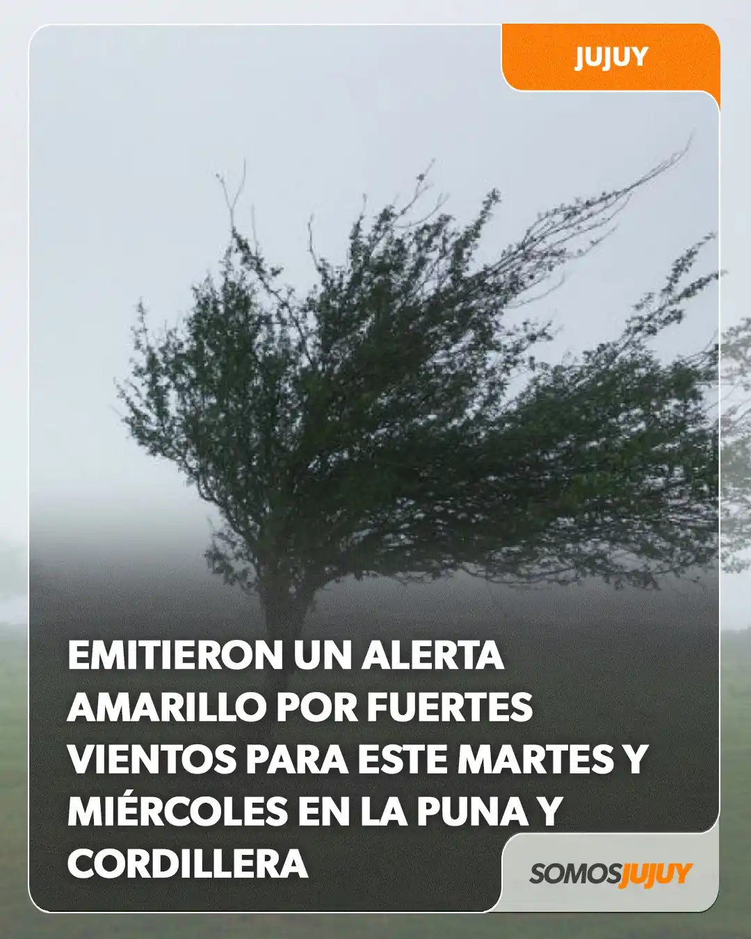 Image from Somos Jujuy - Noticias : 💨 El <a class="text-blue-500 hover:underline cursor-pointer" href="/h...