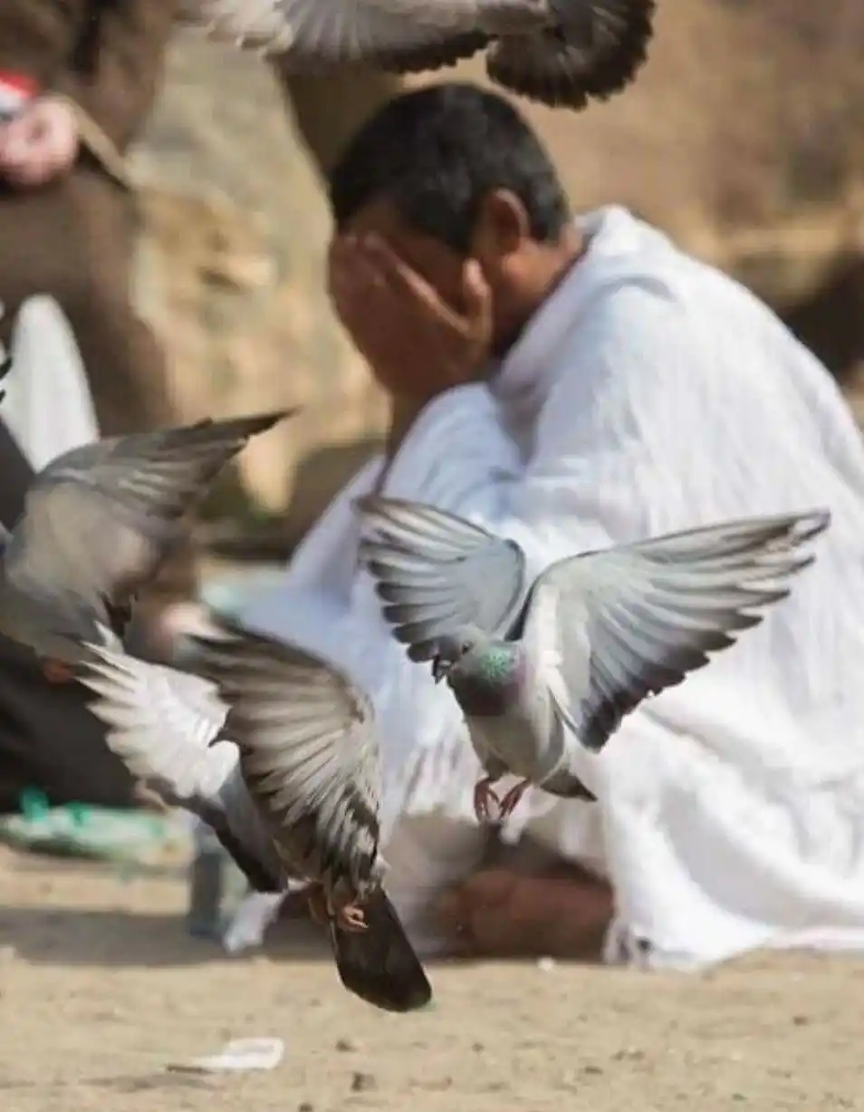 قناة فجر قباء للحج والعمرة🕋 post