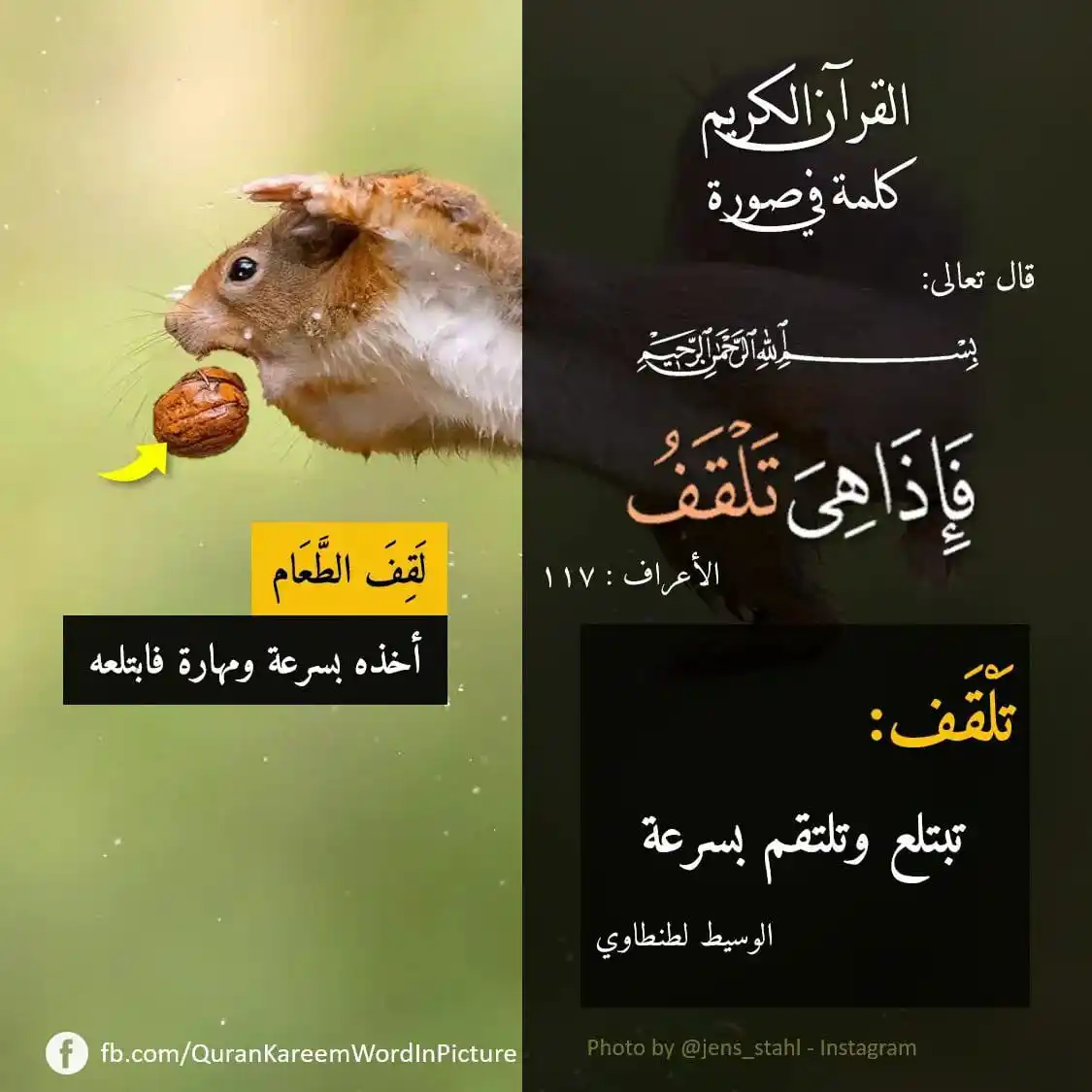 Image from القرآن صاحبي🫀: *💡 كلمة "تَلْقَف"* سورة الأعراف - الآية 117 قال الله تعالى: { *وَأَو...