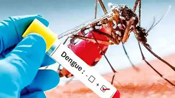 கல்வி post