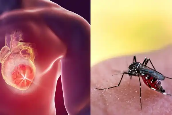 கல்வி post