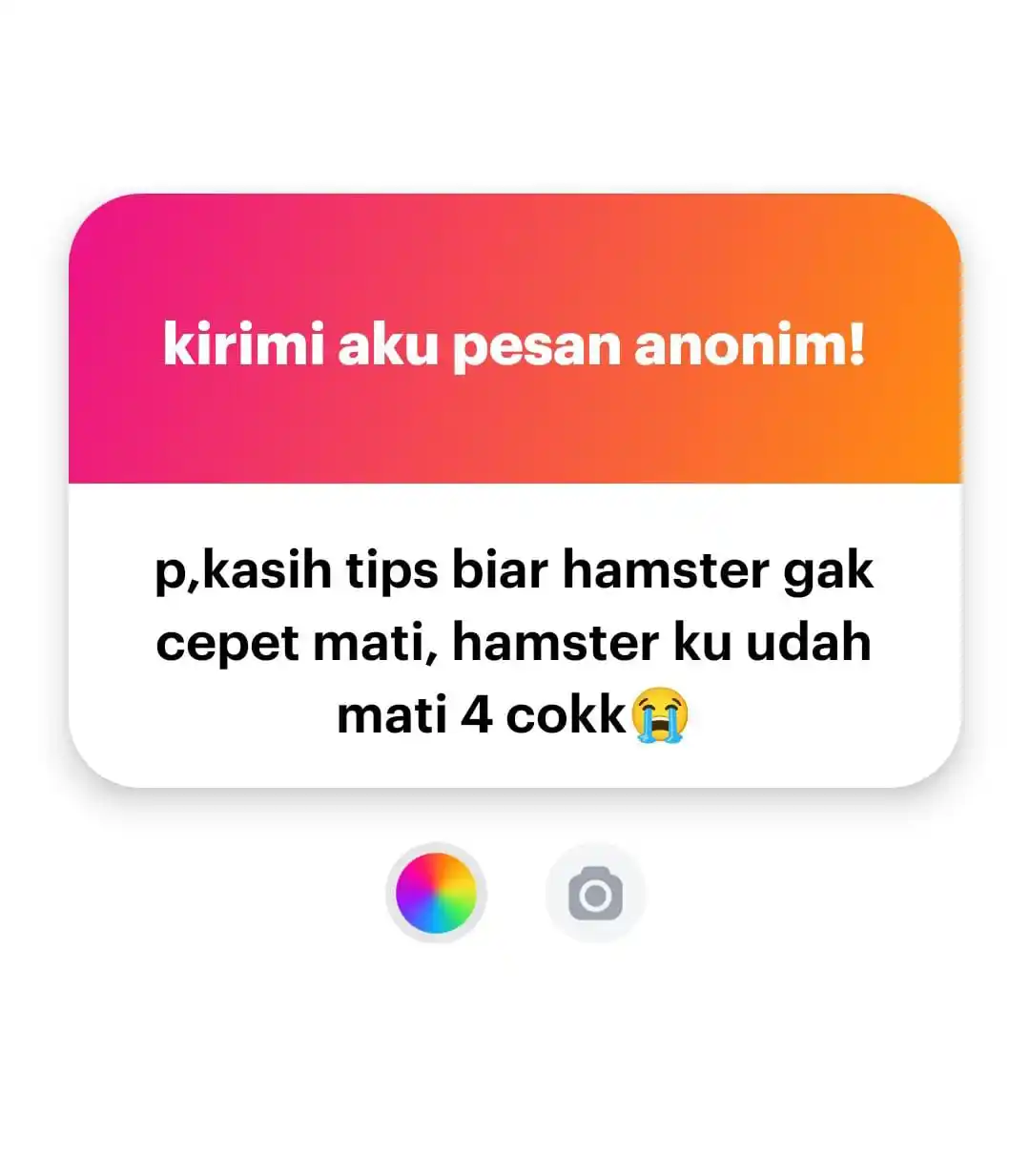 Image from RakKiss💋: 1 saran aja sih dari aku, jangan pelihara hamster sekian dan terimakas...