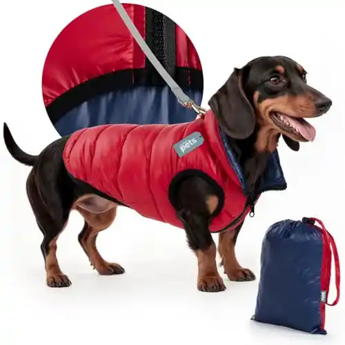Image from Ofertones México : ¡ABRÍGALO CON ESTILO! CHALECO REVERSIBLE PARA PERRO 🐶❄️✨ Amazon: ESQU...