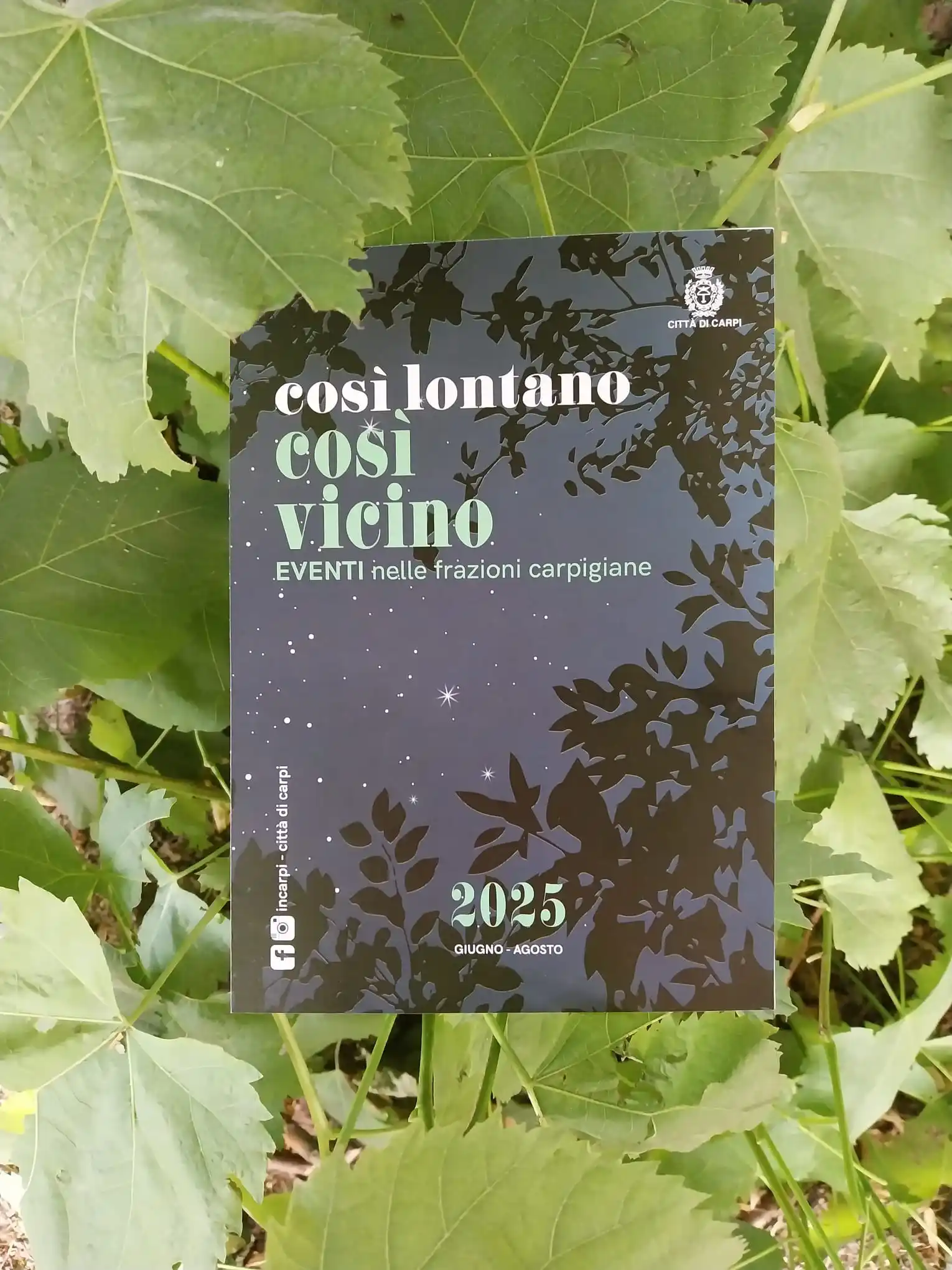 Image from Città di Carpi: eventi: 🌻 *Così lontano così vicino* Sta per iniziare il primo evento della ...