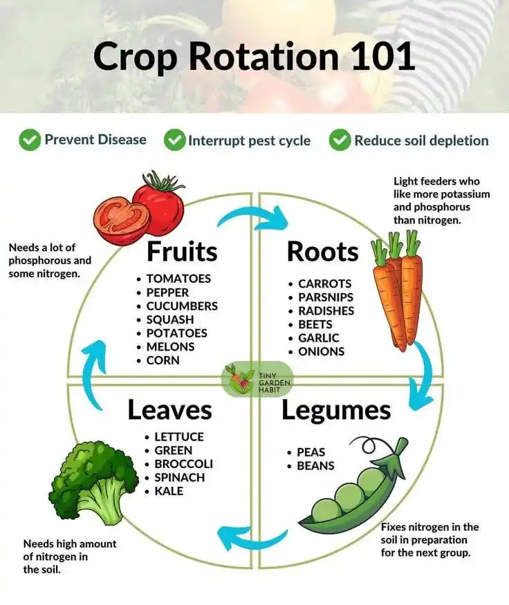 Image from Rahul Mishra Professional Desk: explains the principles of crop rotation, which helps prevent disease,...
