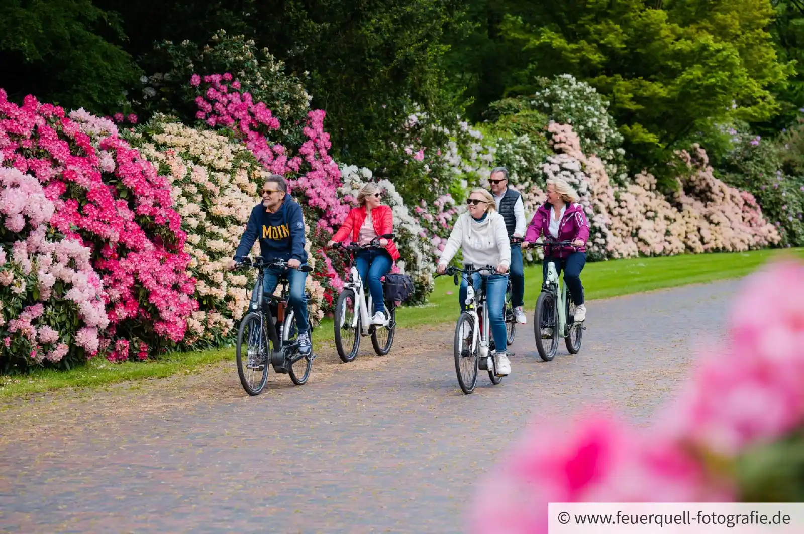 Image from Landkreis Ammerland: 🥳🚴♀️ *Heute ist Tag des Fahrrads!* Perfekt, um unser Ammerland auf ...