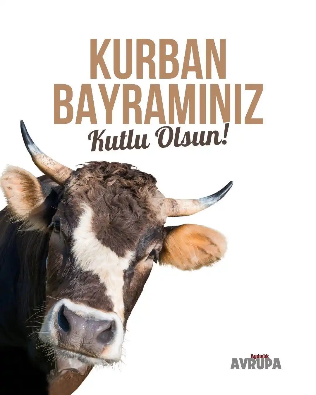 Aydınlık Avrupa post