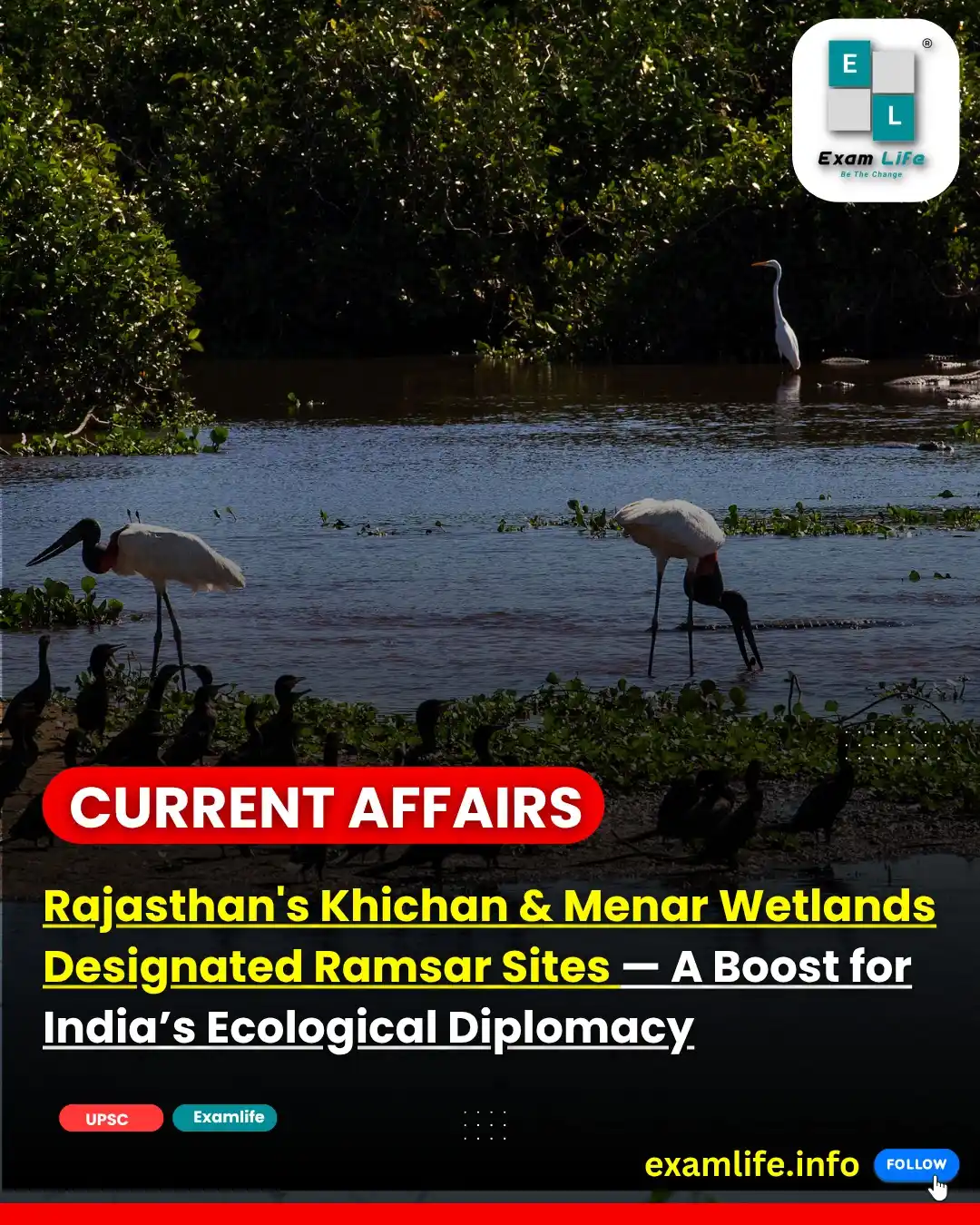 Image from Examlife.Info: *_Rajasthan's Khichan & Menar Wetlands Designated Ramsar Sites — A Boo...