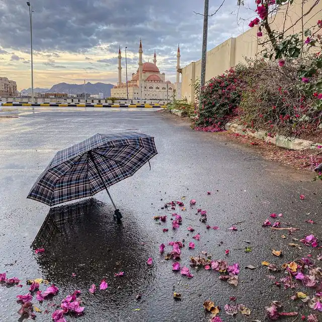 Image from مَــــــركَبُ النجَــــاةِ..||𓊝: _ > *"يعزُّ على الإنسان أن يمشي سُبلًا لا يرغبُها، ولكنَّها الحياة"*...