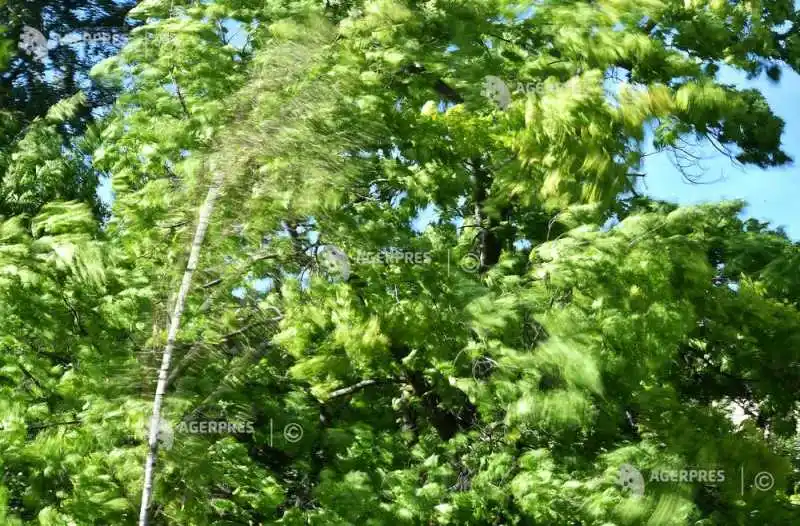 Image from Agerpres: *Cod galben de vijelii în 15 județe, pe parcursul zilei de luni;sudul ...