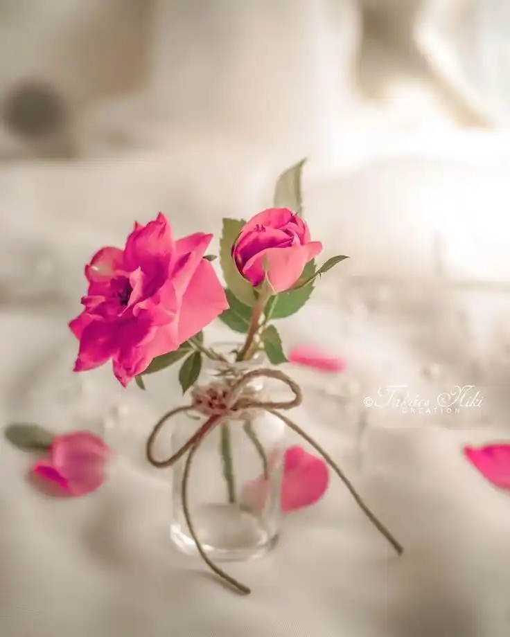 Image from Muslim Sisters: كَمْ مِنْ أُنَاسٌ قَوْلُهُمْ لَا يَنْفَعُ لَكِنَّهُ مِثْلُ العِقَارِب...