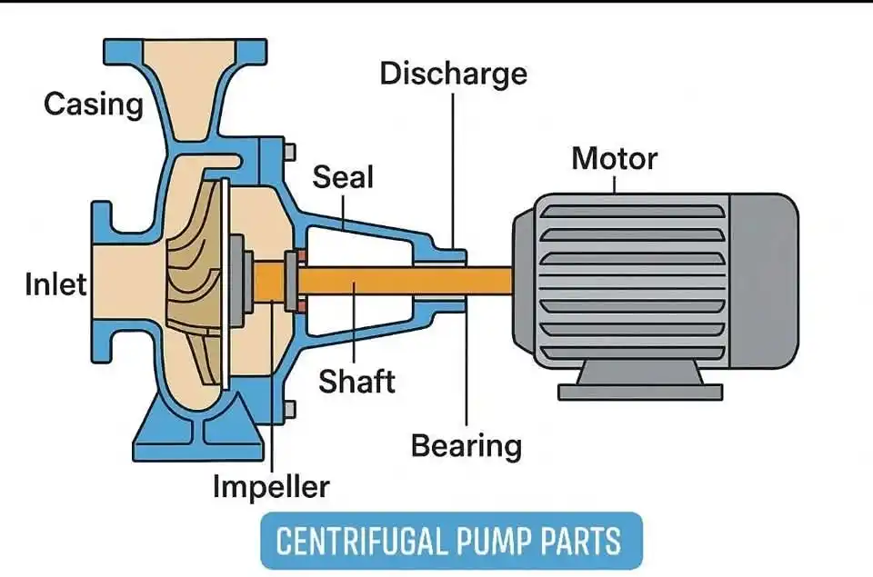 Image from Piping Engineering World: Parts of a Centrifugal Pump  Impeller: Rotating component that adds ki...