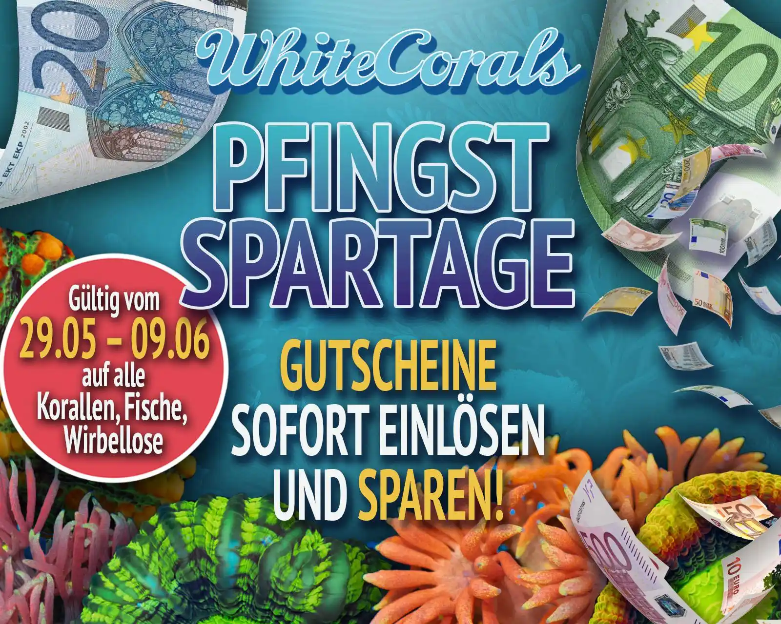 Whitecorals.com post