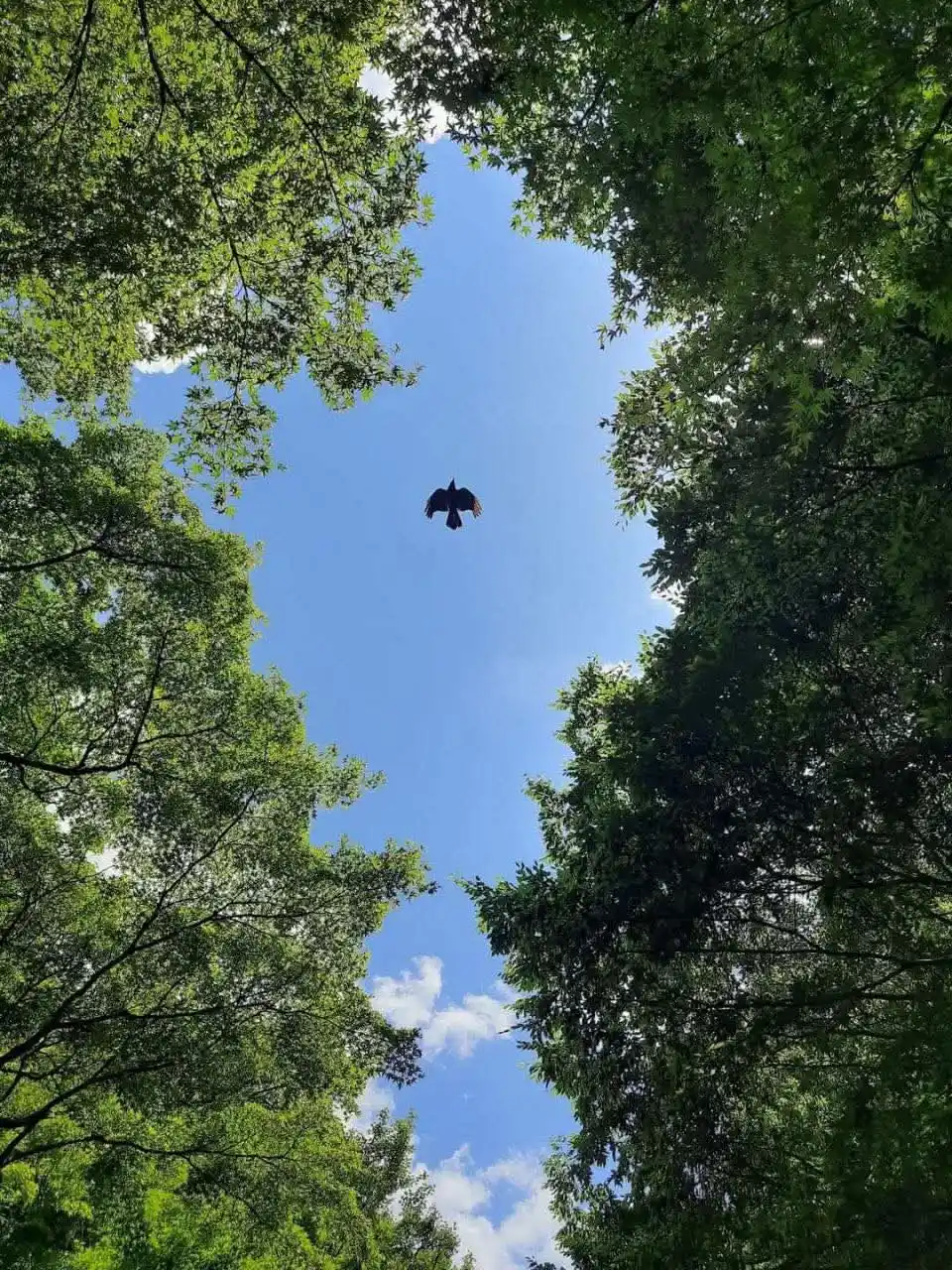 صَبْرَ |💛🦋. post