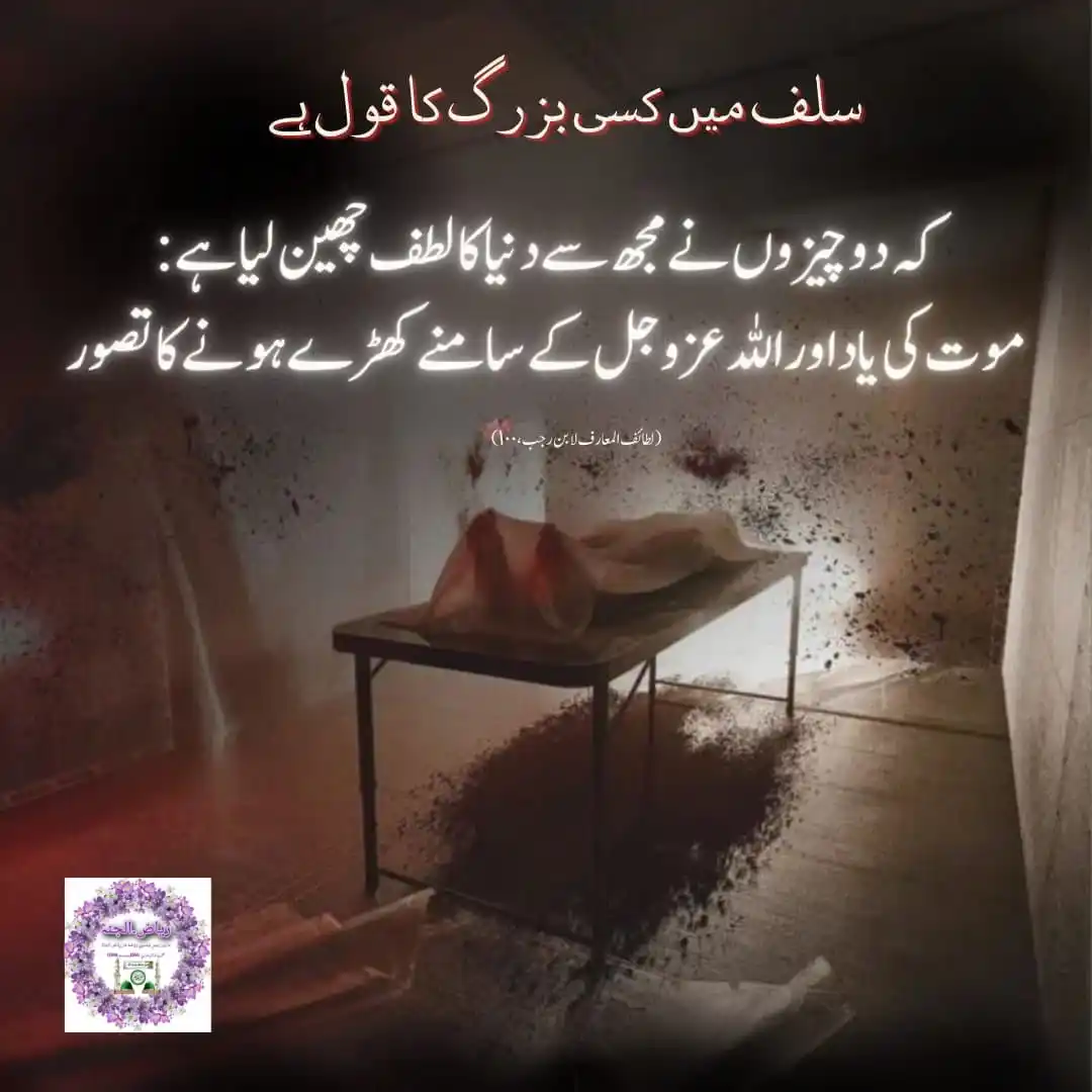 Image from روشنی کا سفر: 🌴اگر کھیتــــــ میں" دانہ" نــــہ ڈالا جاۓ تو قدرتــــــ اسے "گھاس پھ...