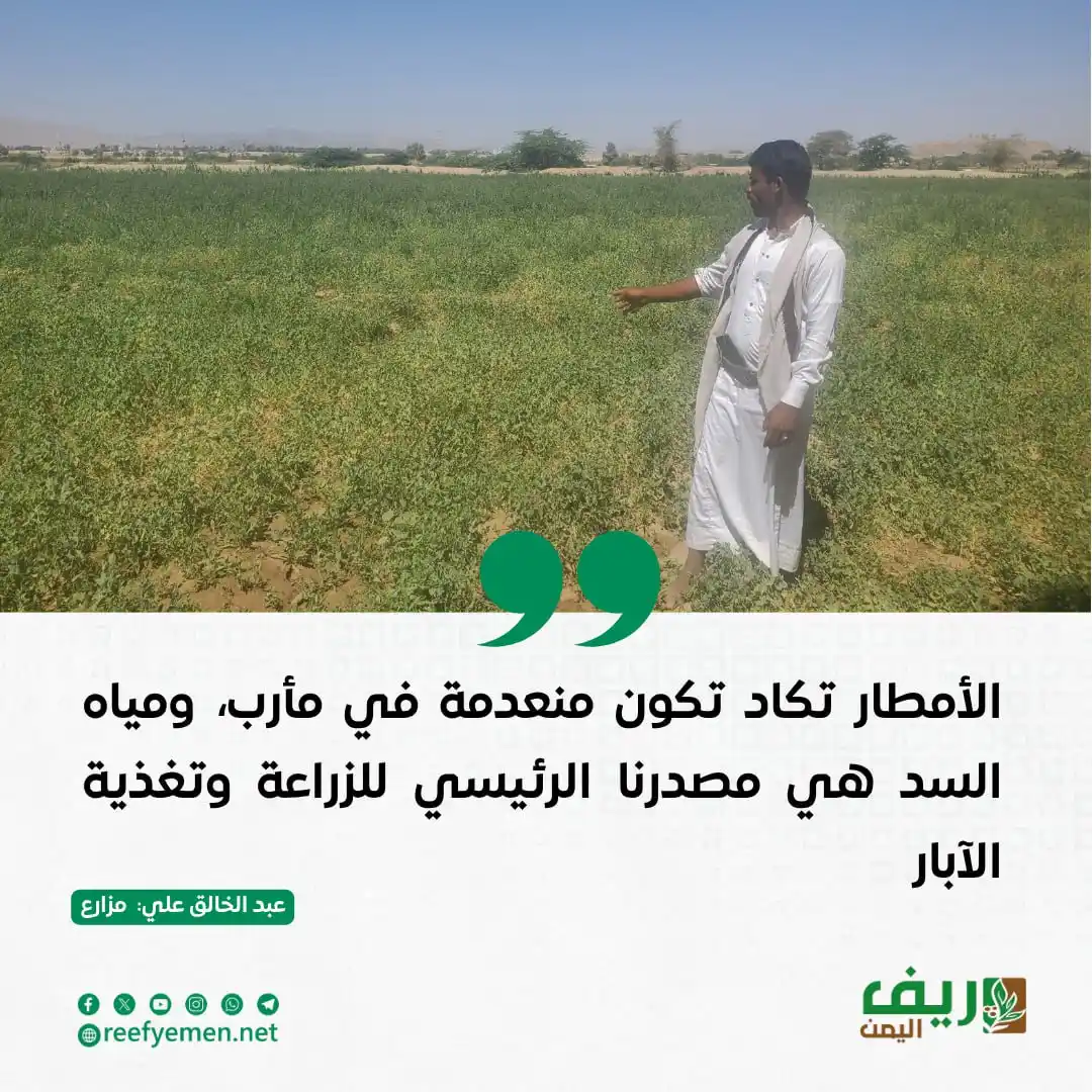 Image from منصة ريف اليمن: الأمطار تكاد تكون منعدمة في <a class="text-blue-500 hover:underline cu...