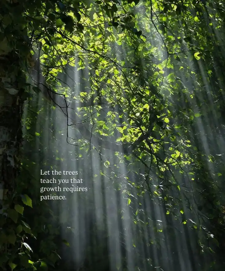 الْحَيَاتُهْ مَعَ اللّٰهِ أَجْمَلُ 🤍🤍 post