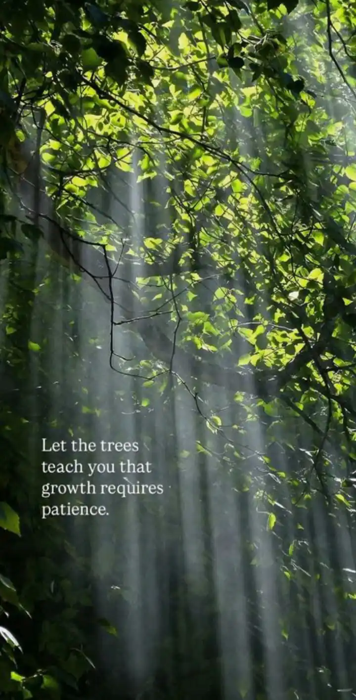 الْحَيَاتُهْ مَعَ اللّٰهِ أَجْمَلُ 🤍🤍 post