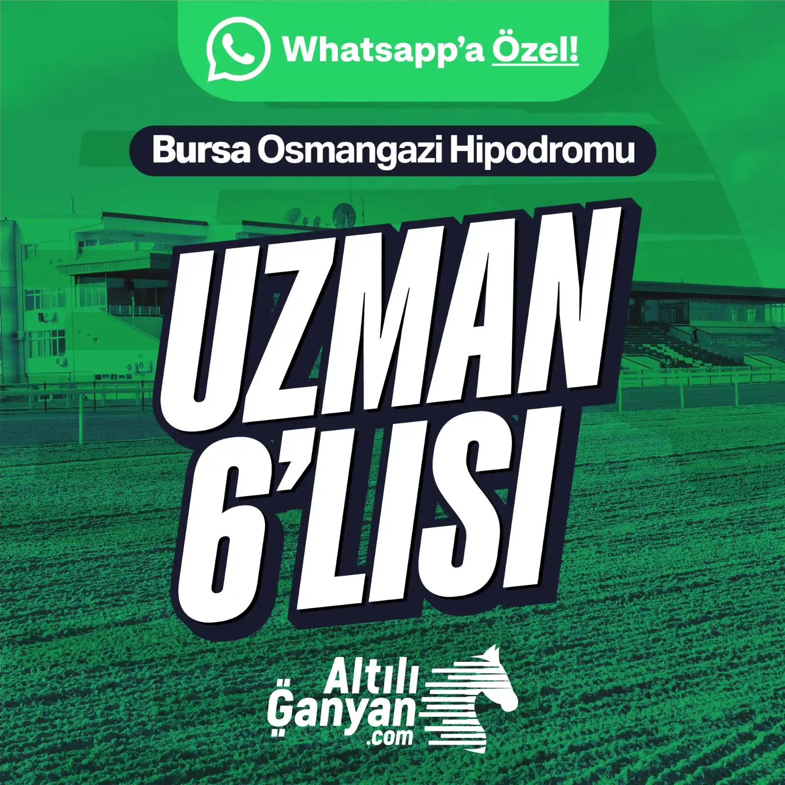 AltılıGanyan.com post